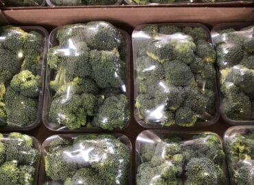 Brassicacee_8-768x1024